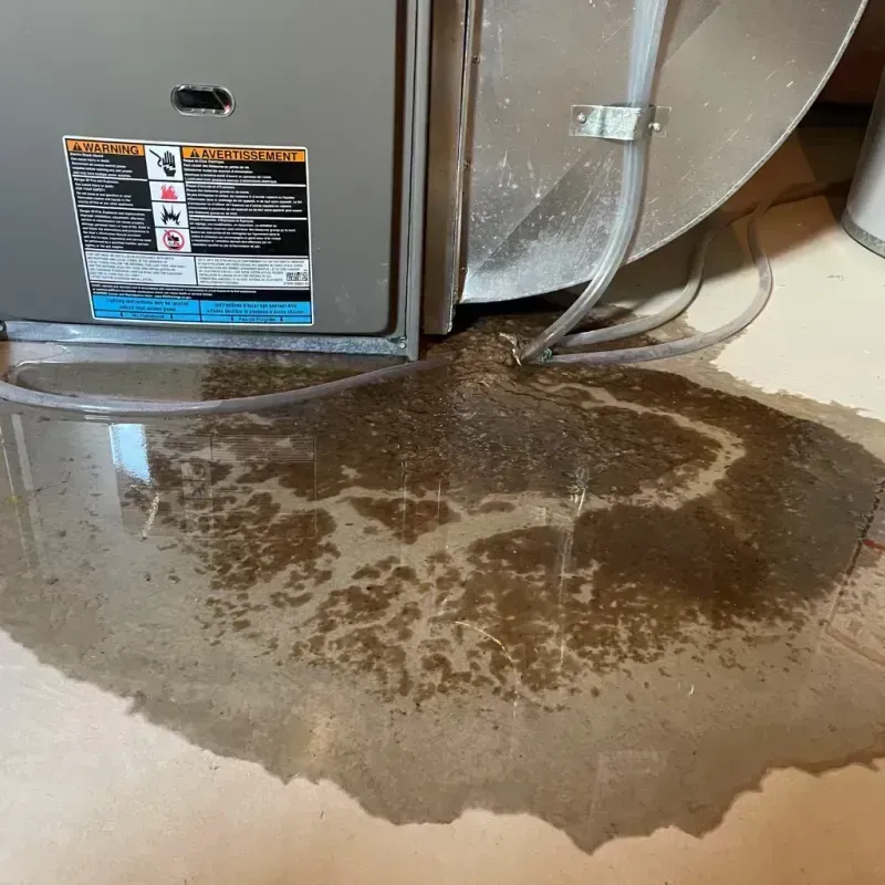 Appliance Leak Cleanup in Bynum, AL